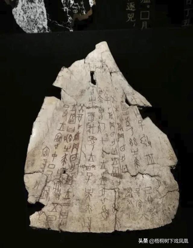 二月二龙抬头理发剃头好吗(民间兴剃龙头)(6)