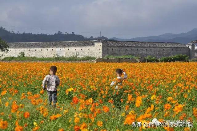 安远三百山风景名胜区（走遍江西100县安远）(11)