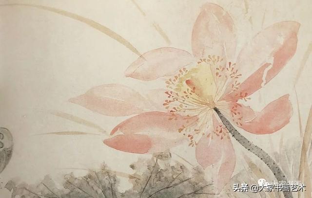 名画家水墨写意荷花（历代名家笔下的荷花）(28)