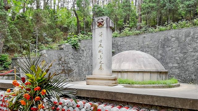 开国上将许世友80岁病逝(开国上将许世友80岁病逝)(18)