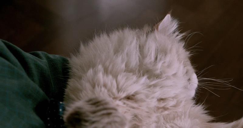 欧莱雅清润系列有哪些(欧莱雅清润葡萄籽保湿系列)(5)