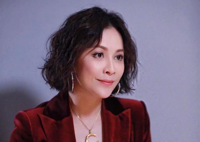 年轻时候刘嘉玲究竟有多美（岁月是杀猪刀54岁刘嘉玲）(5)