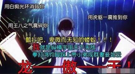 网络上的叶良辰(网红叶良辰演戏被批)(13)