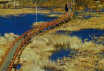 云南旅游攻略六天五晚1280元(淡季游云南1500元人)(15)