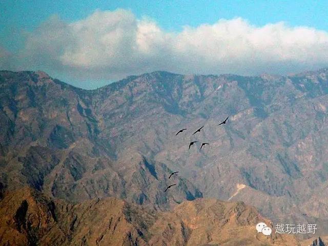 去阿拉善旅游（一定要玩的10个地方）(5)