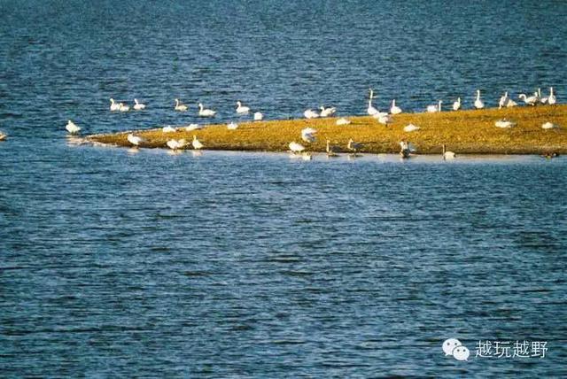 去阿拉善旅游（一定要玩的10个地方）(18)