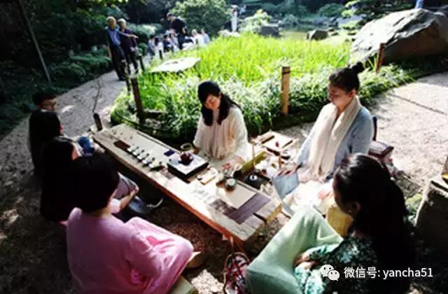 好茶分享与推荐(爱茶好晒)(27)