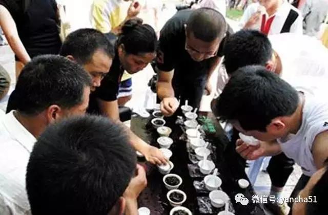 好茶分享与推荐(爱茶好晒)(28)