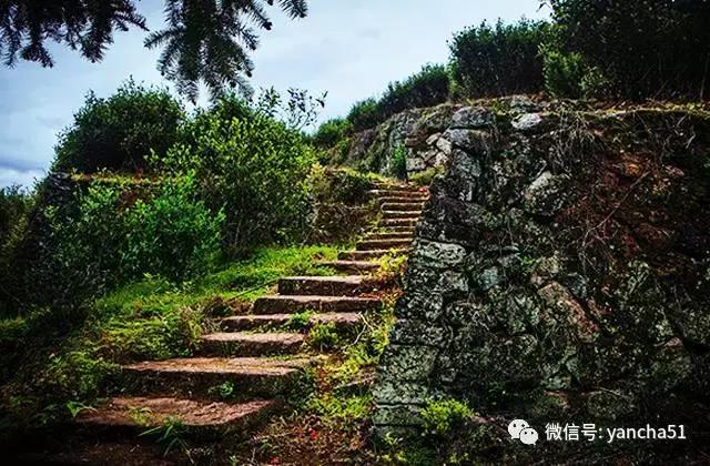 好茶分享与推荐(爱茶好晒)(3)
