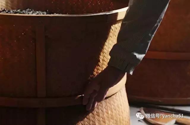 好茶分享与推荐(爱茶好晒)(15)