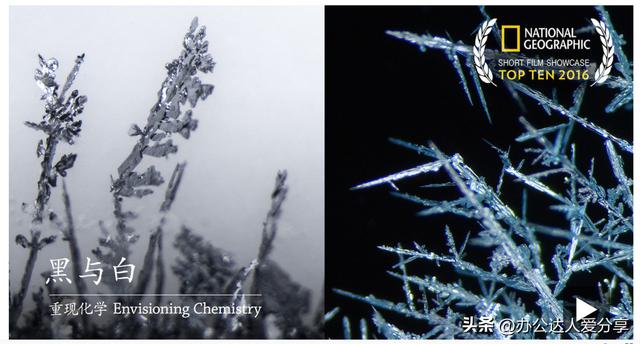 好用又免费的网站(你见过哪些让你相见恨晚的神器网站)(2)