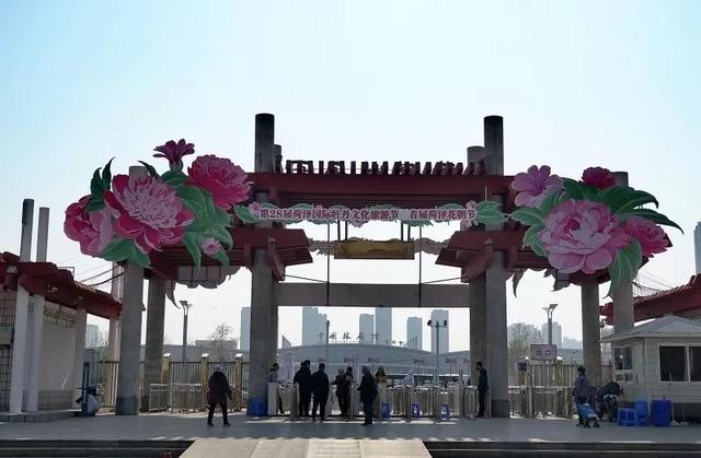 菏泽牡丹园游玩攻略路线(曹州牡丹园正式开园迎客)(2)