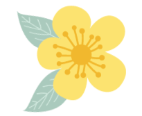 菏泽牡丹园游玩攻略路线(曹州牡丹园正式开园迎客)(4)