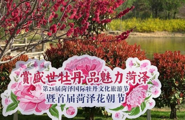 菏泽牡丹园游玩攻略路线(曹州牡丹园正式开园迎客)(3)
