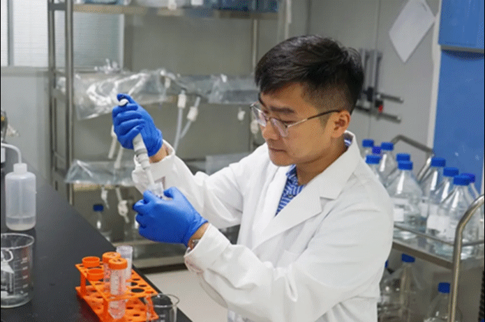 苏州市太湖新城(打造面向未来的世界级湖区)(12)