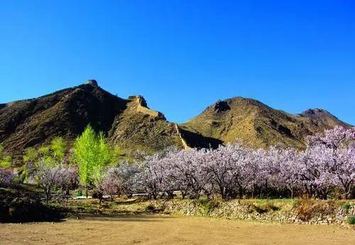 大同一日游的景点 旅游日又至大同这几处特色打卡地千万别错过(12)