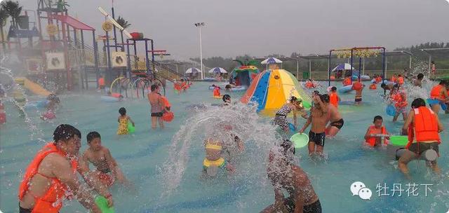 洛阳薰衣草庄园郁金香（洛阳薰衣草庄园）(7)