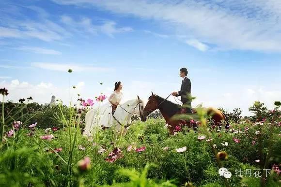 洛阳薰衣草庄园郁金香（洛阳薰衣草庄园）(5)