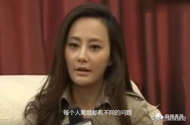 吴奇隆刘诗诗爱的细节全记录（吴奇隆刘诗诗要离婚的瓜）(31)