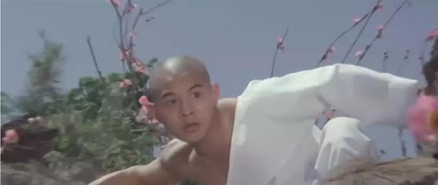 成龙李连杰甄子丹哪个厉害（成龙李连杰甄子丹）(18)