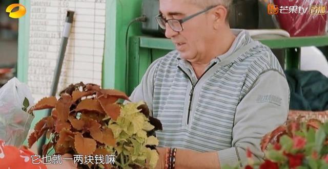 秦海璐的情商有多低(你们骂错了秦海璐)(46)