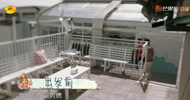 秦海璐的情商有多低(你们骂错了秦海璐)(48)