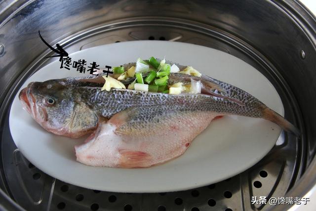 清蒸鲈鱼最正确方法(清蒸鲈鱼时别直接上锅蒸)(10)