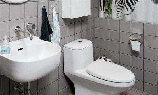 厕所马桶堵了怎么办,马桶堵住了要怎么办图2