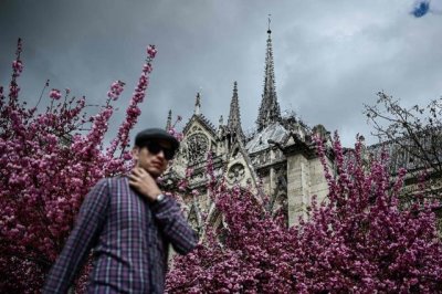 ​巴黎圣母院火灾有哪些原因（翻译家郑克鲁谈巴黎圣母院火灾）