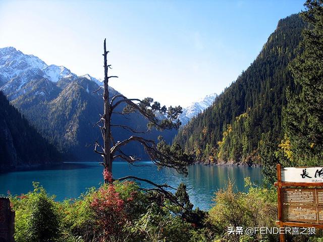 九寨沟游览攻略实用(这篇攻略告诉你)(8)