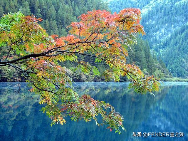 九寨沟游览攻略实用(这篇攻略告诉你)(3)