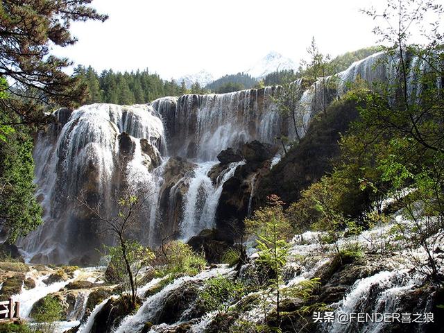 九寨沟游览攻略实用(这篇攻略告诉你)(12)
