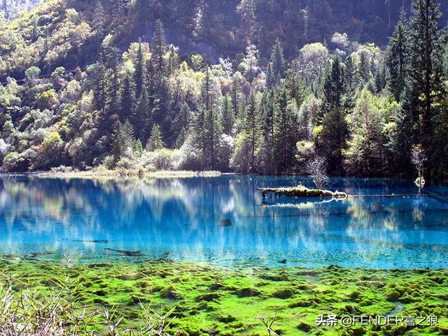 九寨沟游览攻略实用(这篇攻略告诉你)(10)