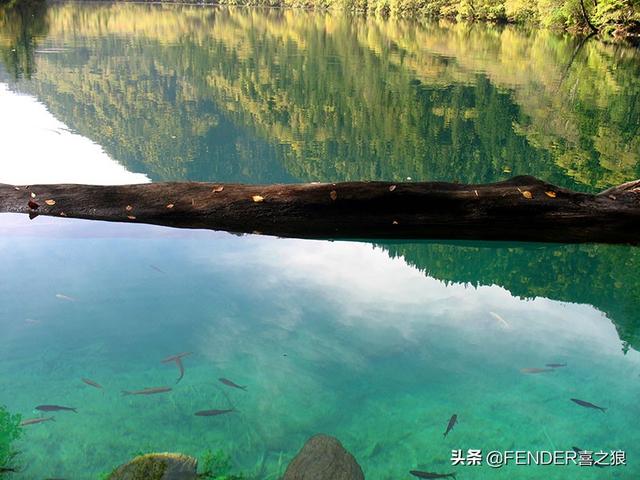 九寨沟游览攻略实用(这篇攻略告诉你)(7)