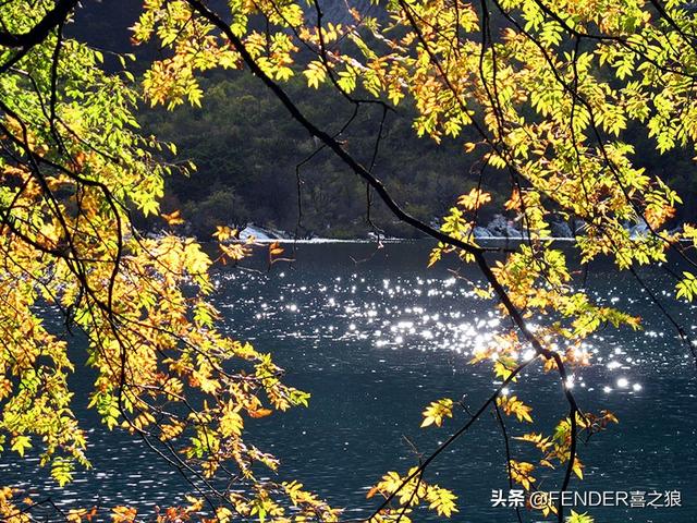 九寨沟游览攻略实用(这篇攻略告诉你)(14)