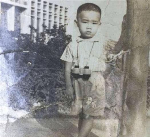 应采儿陈小春第二次结婚照(应采儿和陈小春的婚前往事)(1)