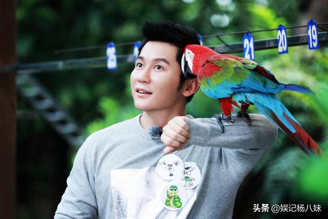 刘涛和李晨合作的作品有哪些(42岁李晨演17岁40岁刘涛演15岁)(7)