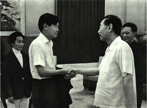 杨振宁的发妻杜致礼简介（他是杨振宁的首任岳父）(7)