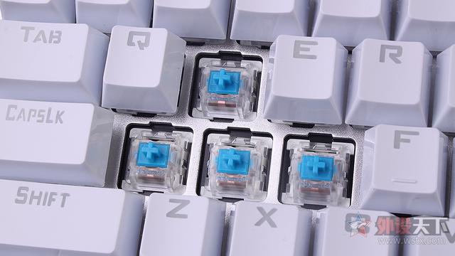 狼途和狼蛛机械键盘哪个好(官方评测狼蛛颜值)(19)