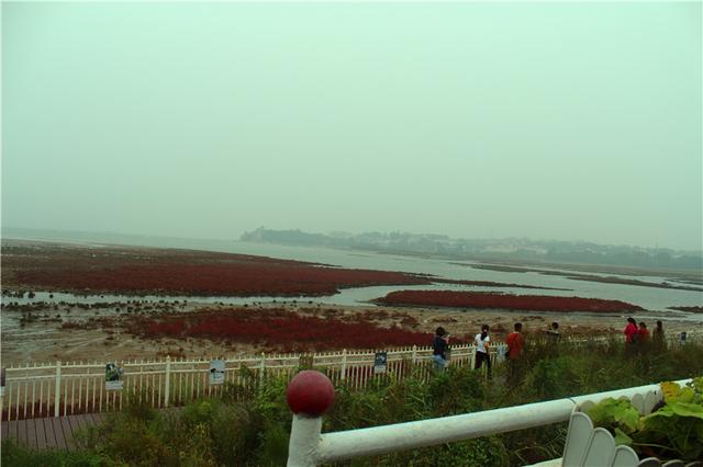 北戴河自驾游一日游攻略（自驾滨海行1北京）(13)
