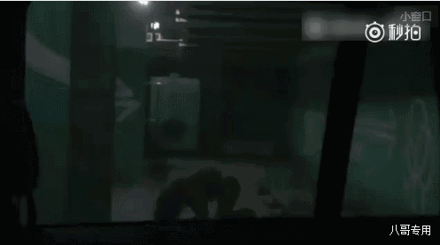 秦海璐血小板低（养小鬼被反噬精神病发作）(6)