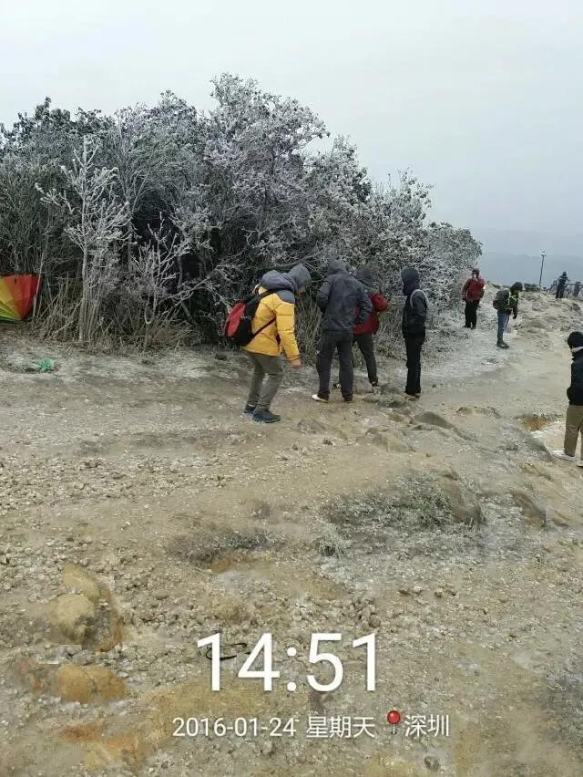 深圳第一高峰梧桐山攻略（我的8次深圳梧桐山之行）(65)