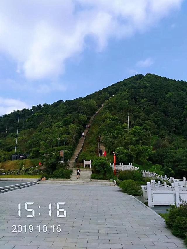 深圳第一高峰梧桐山攻略（我的8次深圳梧桐山之行）(116)