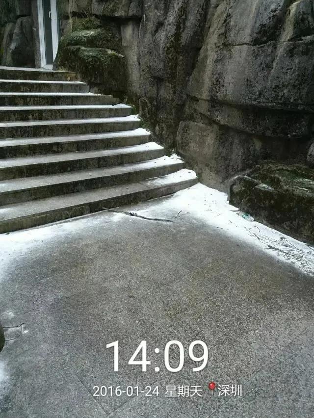 深圳第一高峰梧桐山攻略（我的8次深圳梧桐山之行）(60)