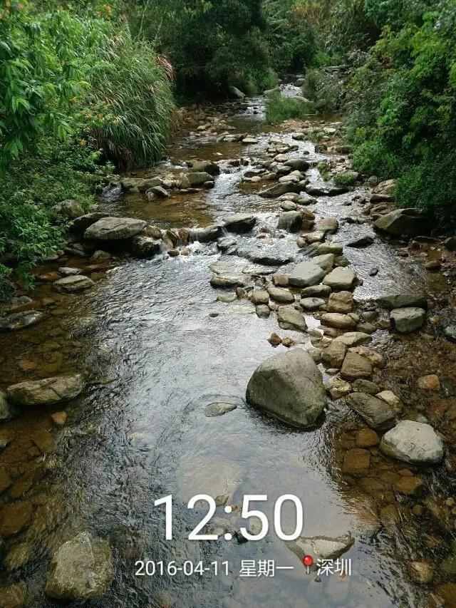 深圳第一高峰梧桐山攻略（我的8次深圳梧桐山之行）(80)