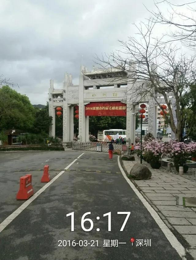 深圳第一高峰梧桐山攻略（我的8次深圳梧桐山之行）(70)