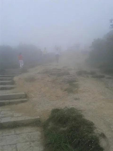 深圳第一高峰梧桐山攻略（我的8次深圳梧桐山之行）(19)