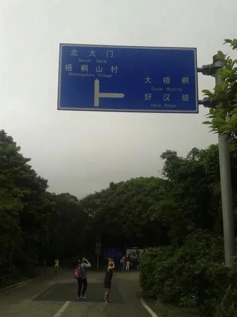 深圳第一高峰梧桐山攻略（我的8次深圳梧桐山之行）(11)