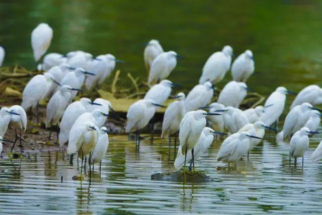 深圳周边自驾游玩攻略路线推荐(推荐你9条深圳周边短途自驾线路)(14)