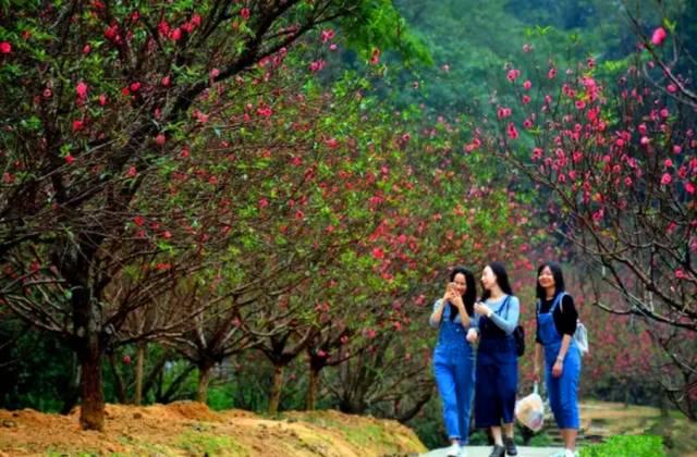 深圳周边自驾游玩攻略路线推荐(推荐你9条深圳周边短途自驾线路)(23)